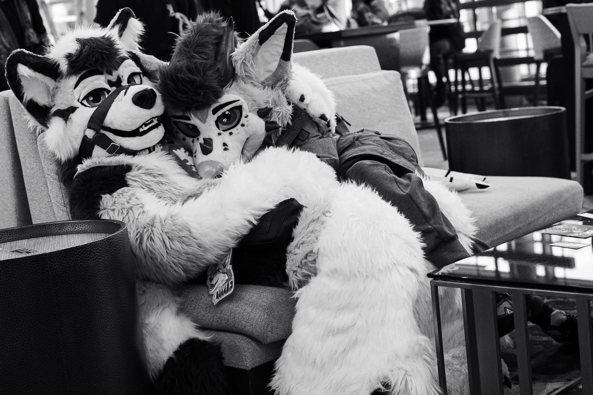 Furries cuddling on a couch